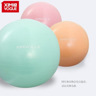 XimiVogue 65cm Yoga Exercise Ball Set (950g/2.1lbs) - Per Piece