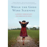 While the gods were sleeping : Elizabeth Enslin