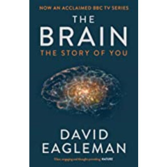THE BRAIN