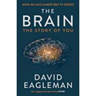 THE BRAIN